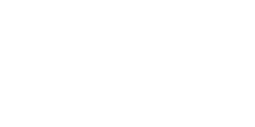 elrochio-logo